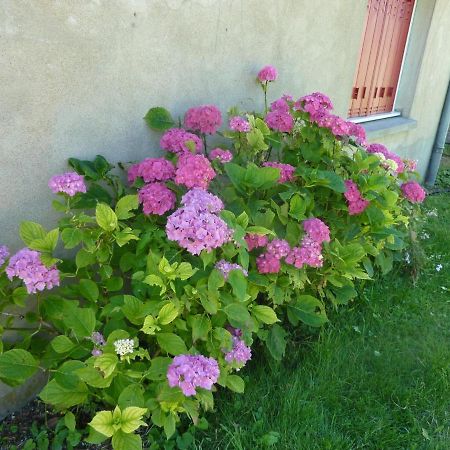 Maison Renovee Avec Cour Privee, Proche De Gannat, 3 Chambres, Animaux Acceptes, Equipements Modernes. - Fr-1-489-37 Poezat Εξωτερικό φωτογραφία