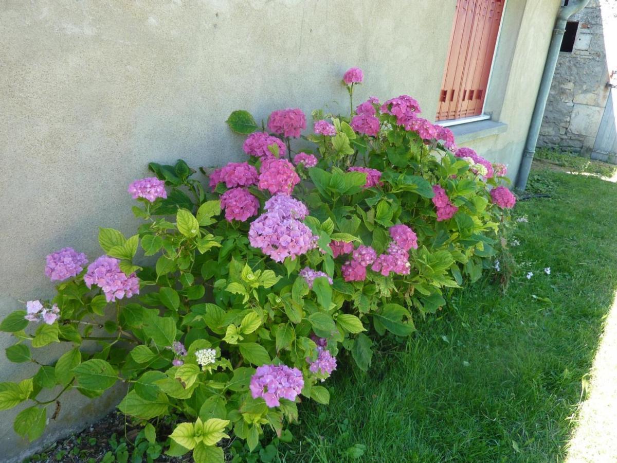 Maison Renovee Avec Cour Privee, Proche De Gannat, 3 Chambres, Animaux Acceptes, Equipements Modernes. - Fr-1-489-37 Poezat Εξωτερικό φωτογραφία